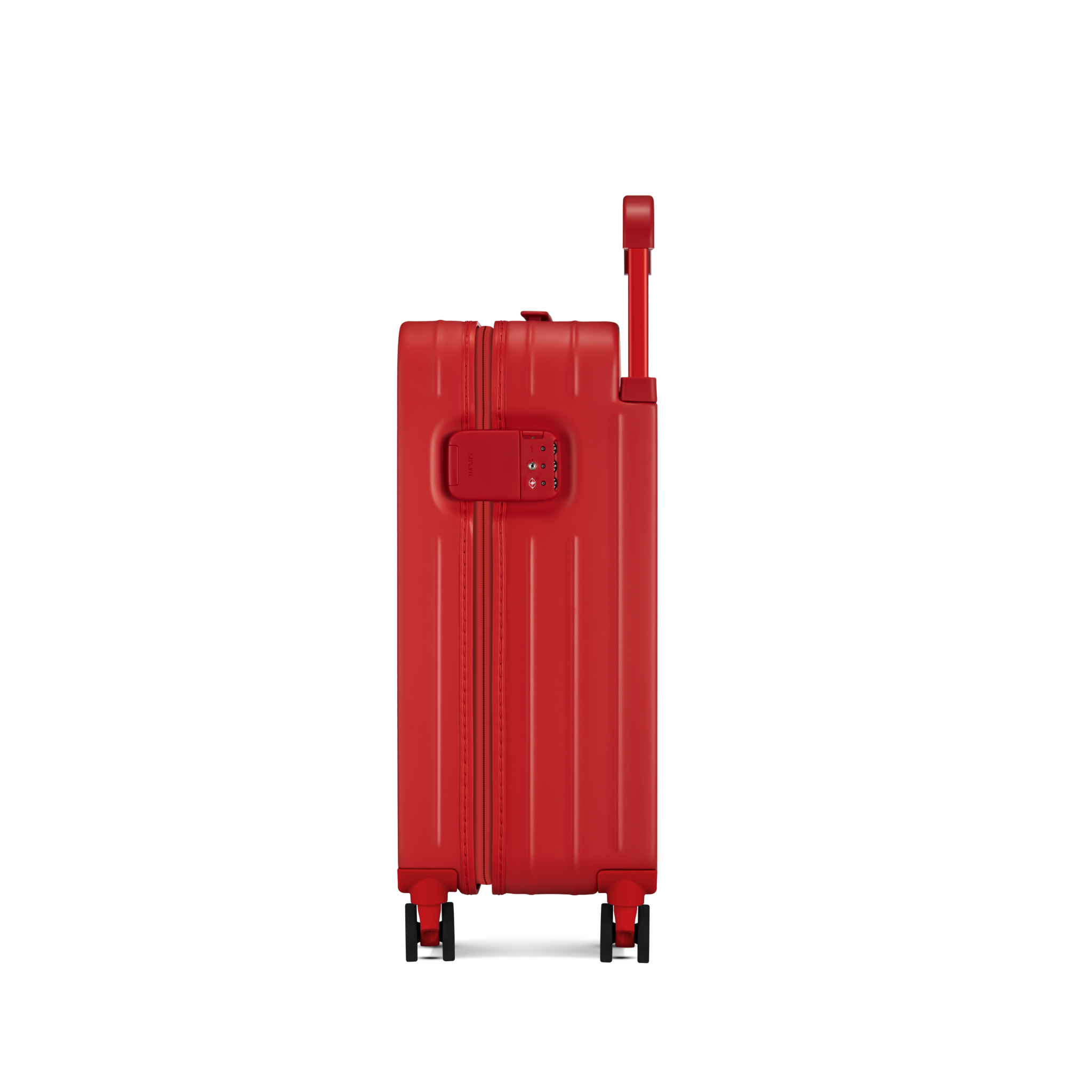 TUPLUS x Henri Matisse, Beasts of the Sea - TUPLUS Offical Store